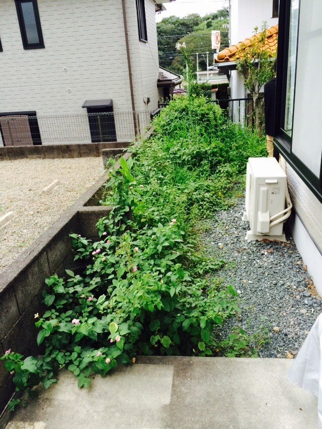 島田市|S様邸|草刈り